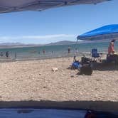 Review photo of Boulder Beach Campground — Lake Mead National Recreation Area by Alicia R., June 11, 2020