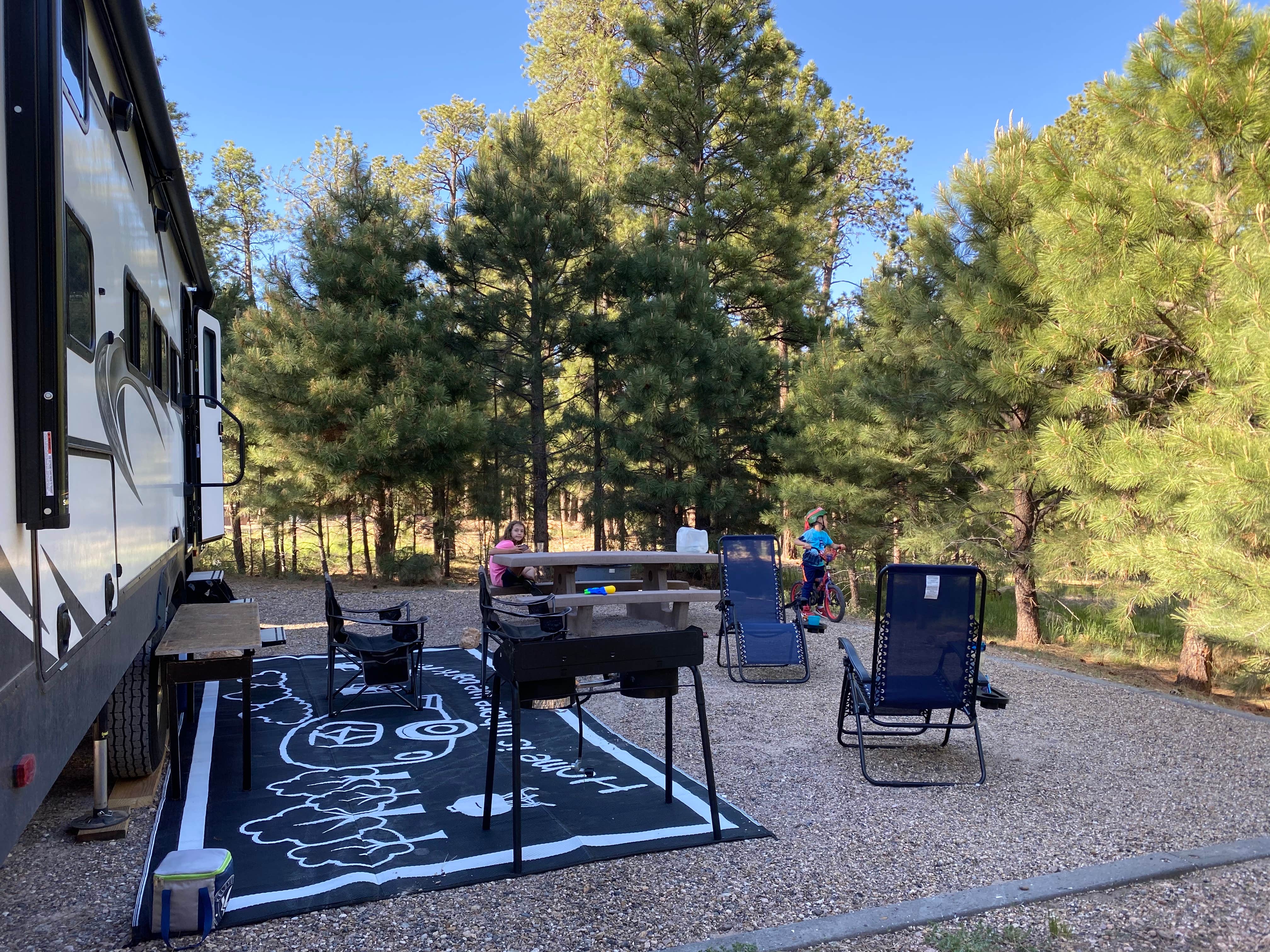 Camper submitted image from Jacob Lake Campground - Kaibab National Forest - 5