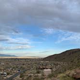 Review photo of Borrego Palm Canyon Campground — Anza-Borrego Desert State Park by Alicia R., June 11, 2020