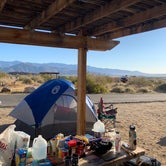Review photo of Borrego Palm Canyon Campground — Anza-Borrego Desert State Park by Alicia R., June 11, 2020