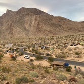Review photo of Borrego Palm Canyon Campground — Anza-Borrego Desert State Park by Alicia R., June 11, 2020