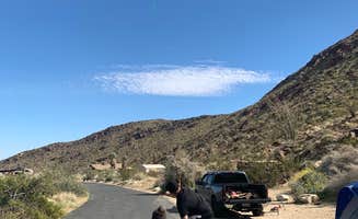 Alicia R.'s photo at Borrego Palm Canyon Campground — Anza-Borrego Desert State Park near San Ysidro, CA