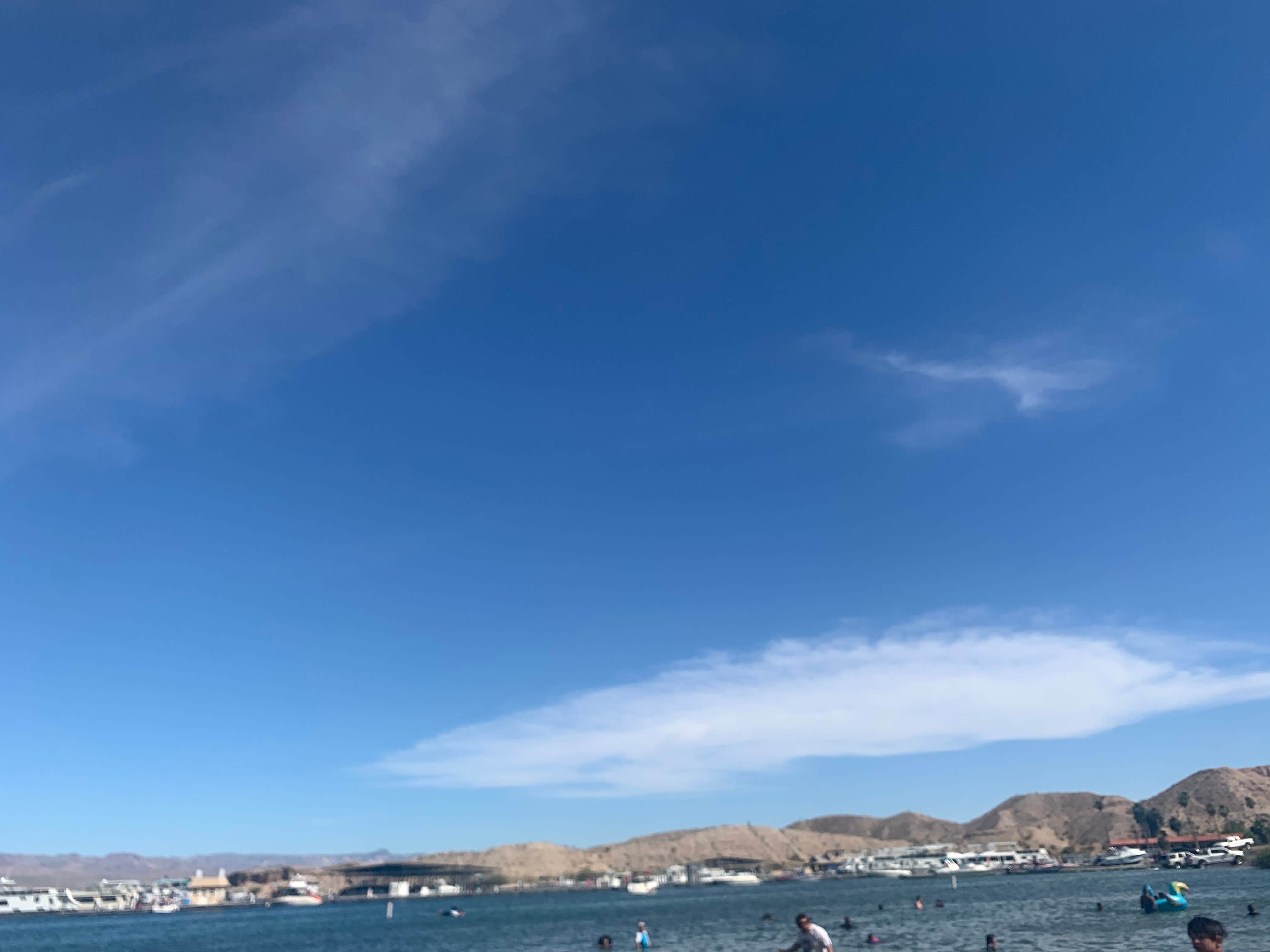 View All