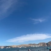 Review photo of Cottonwood Cove Resort RV Park — Lake Mead National Recreation Area by Alicia R., June 11, 2020