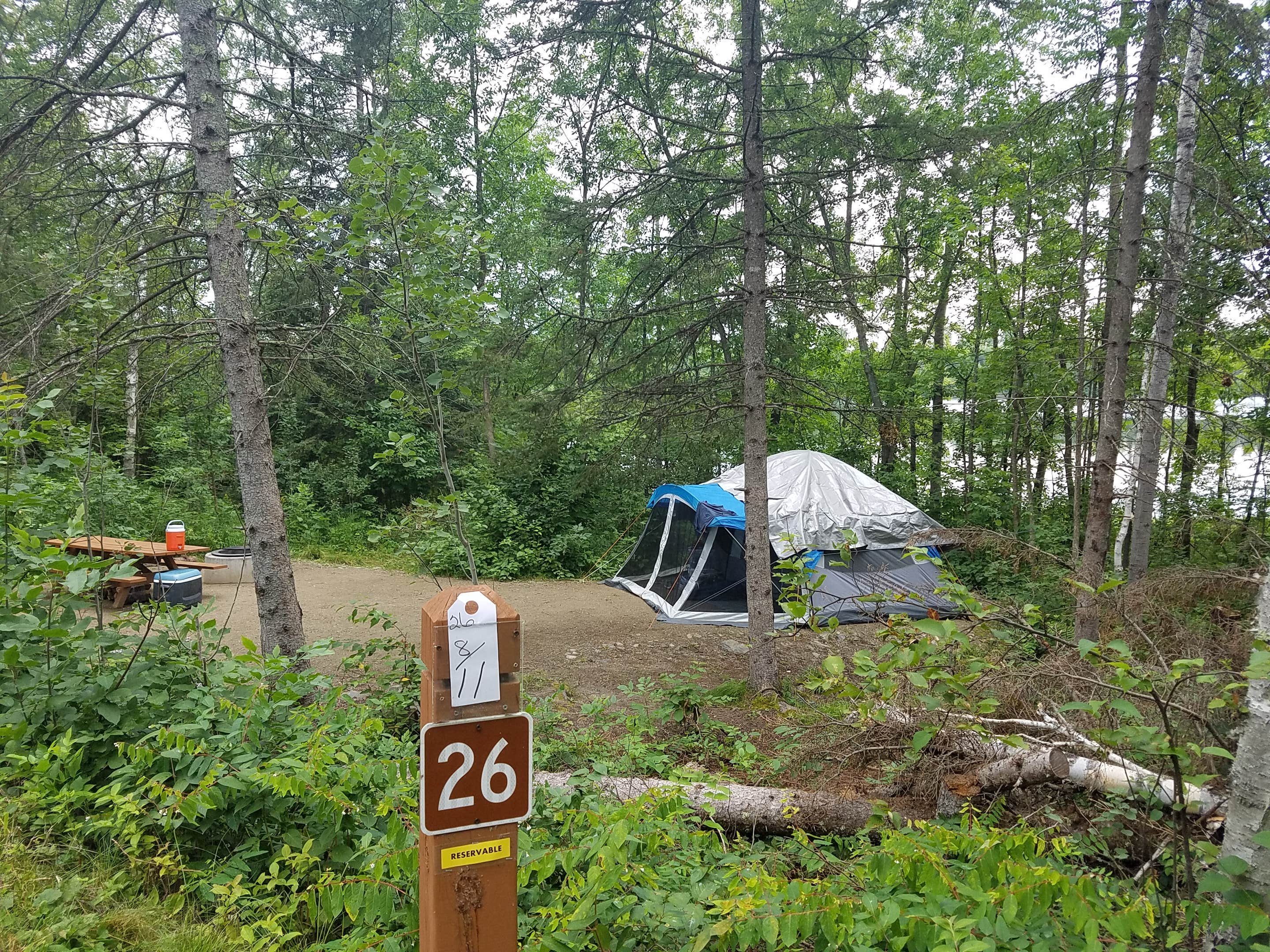 Nancy W.'s photo at Superior National Forest Fall Lake Campground near Winton, MN