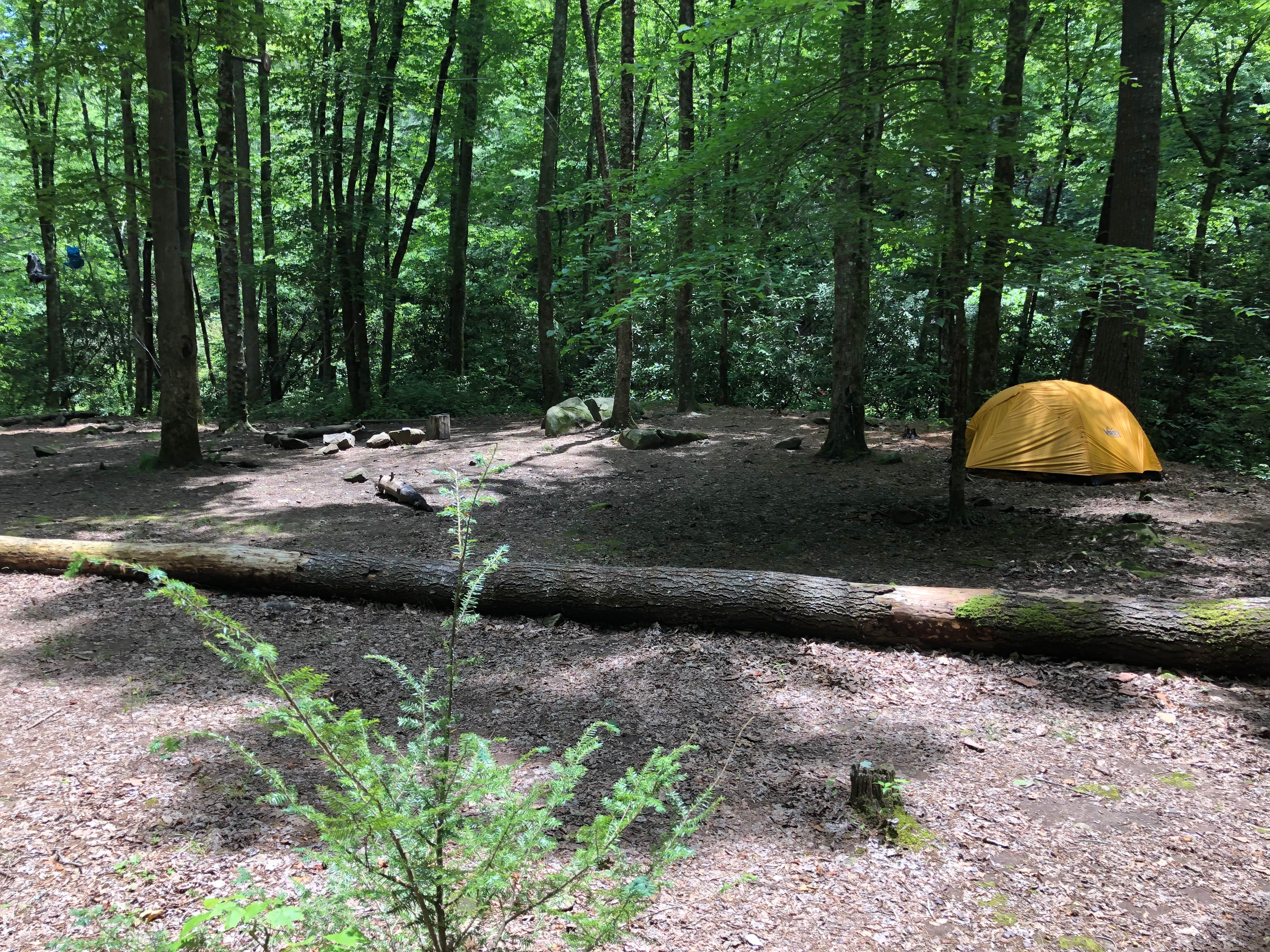 Kevin G.'s photo of tent camping at 74 Lower Forney near Bryson City, NC