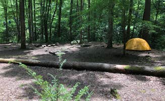 Kevin G.'s photo at 74 Lower Forney near Great Smoky Mountains National Park