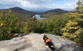 Rachel N.'s photo of camping with pets at Ricker Pond State Park Campground near West Newbury, VT