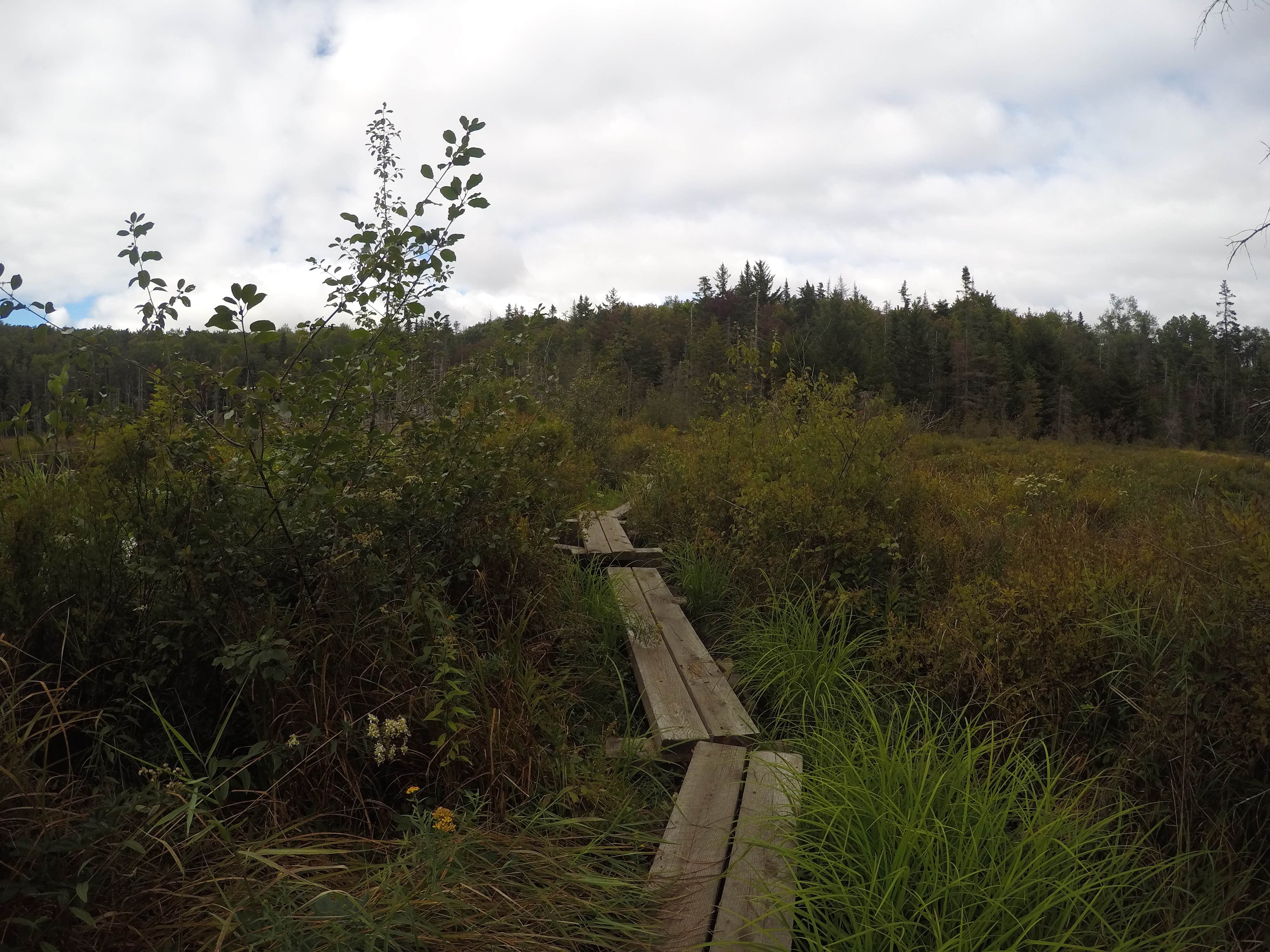 Camper submitted image from Seth Warner Shelter - 3