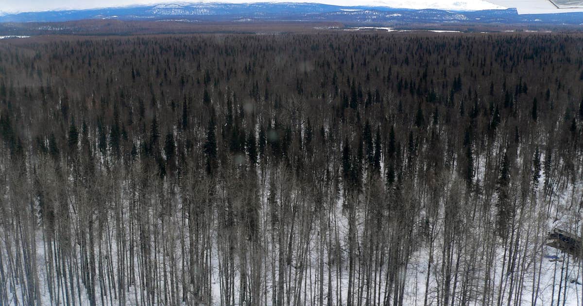 Denali Viewpoint - Denali State Park