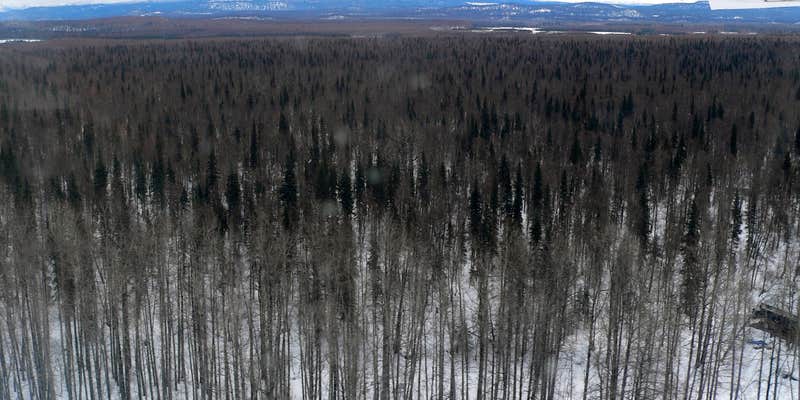 Camper submitted image from Denali Viewpoint - Denali State Park
