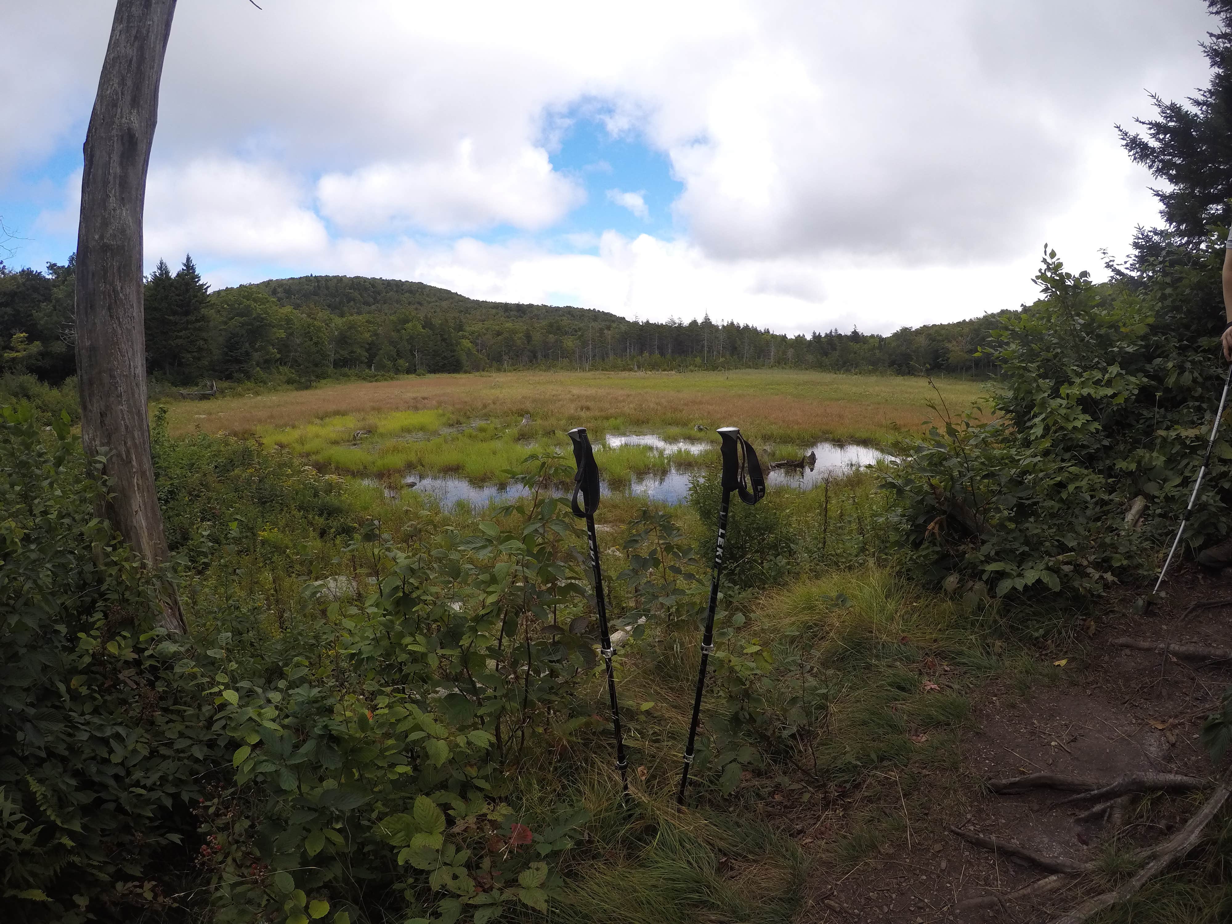 Camper-submitted photo at Seth Warner Shelter near Round Lake, NY