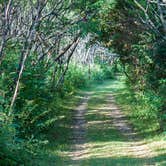Review photo of Burton Island State Park Campground by Tara S., October 18, 2017