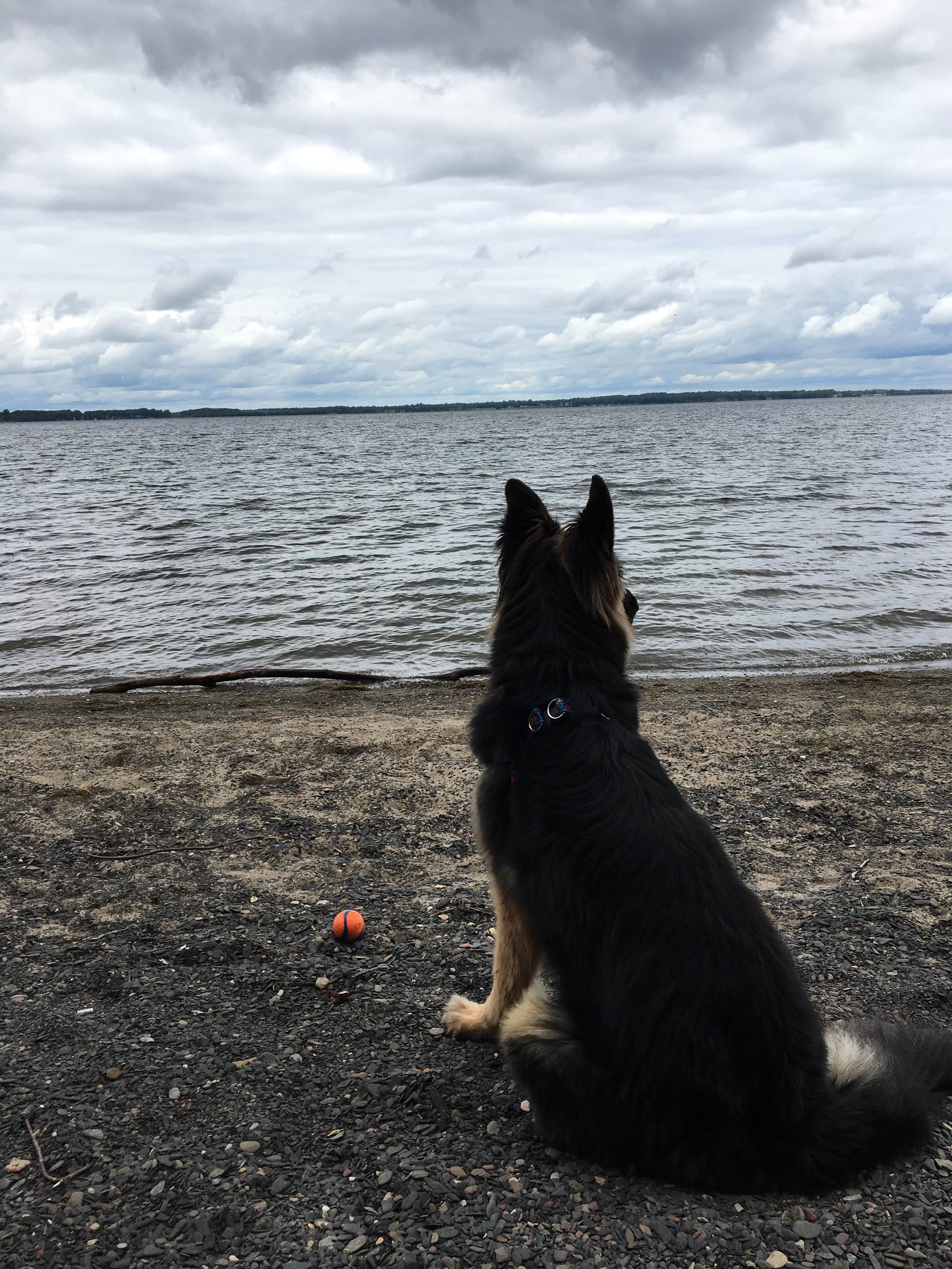 Rachel N.'s photo of camping with pets at Grand Isle State Park Campground near Swanton, VT