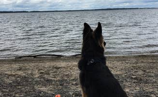 Rachel N.'s photo of camping with pets at Grand Isle State Park Campground in Vermont