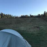 Review photo of Elk Prairie Campground — Prairie Creek Redwoods State Park by Lauren L., October 18, 2017