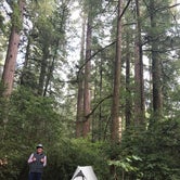 Review photo of Jedediah Smith - Redwood National and State Park by Lauren L., October 18, 2017