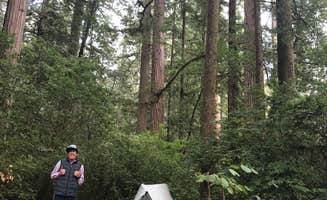 Lauren L.'s photo at Jedidiah Smith Campground — Redwood National Park near Smith River, CA