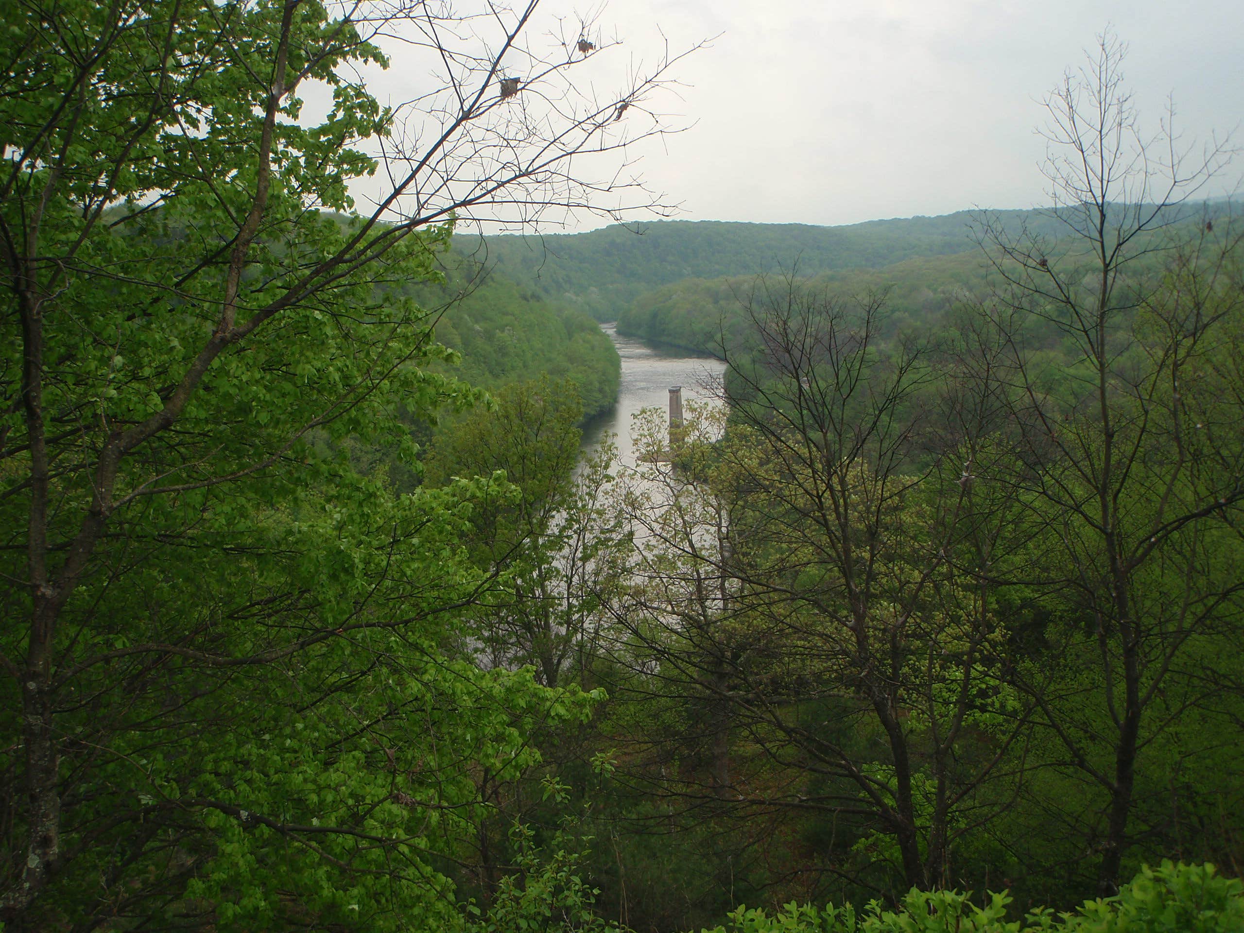 Camper submitted image from Hyner Run State Park Campground - 5