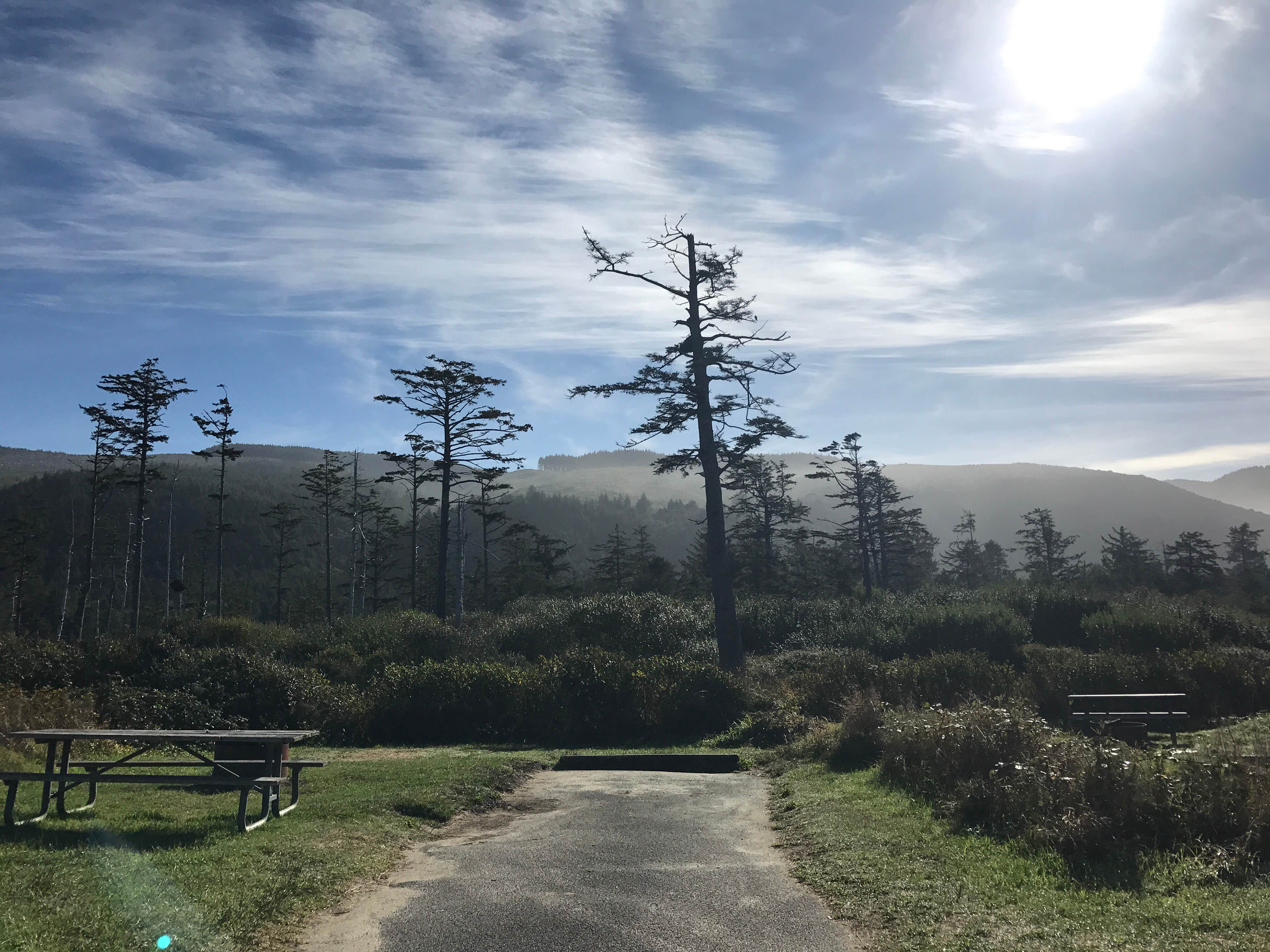 Camper submitted image from Cape Lookout State Park Campground - 5