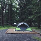 Review photo of Cades Cove Campground by Kaity H., October 18, 2017