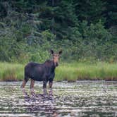 Review photo of Green River Reservoir State Park Campground by Tara S., October 18, 2017