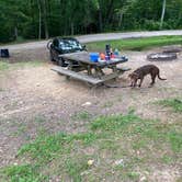 Review photo of Fall Creek Falls State Park Campground by Rachael H., June 11, 2020