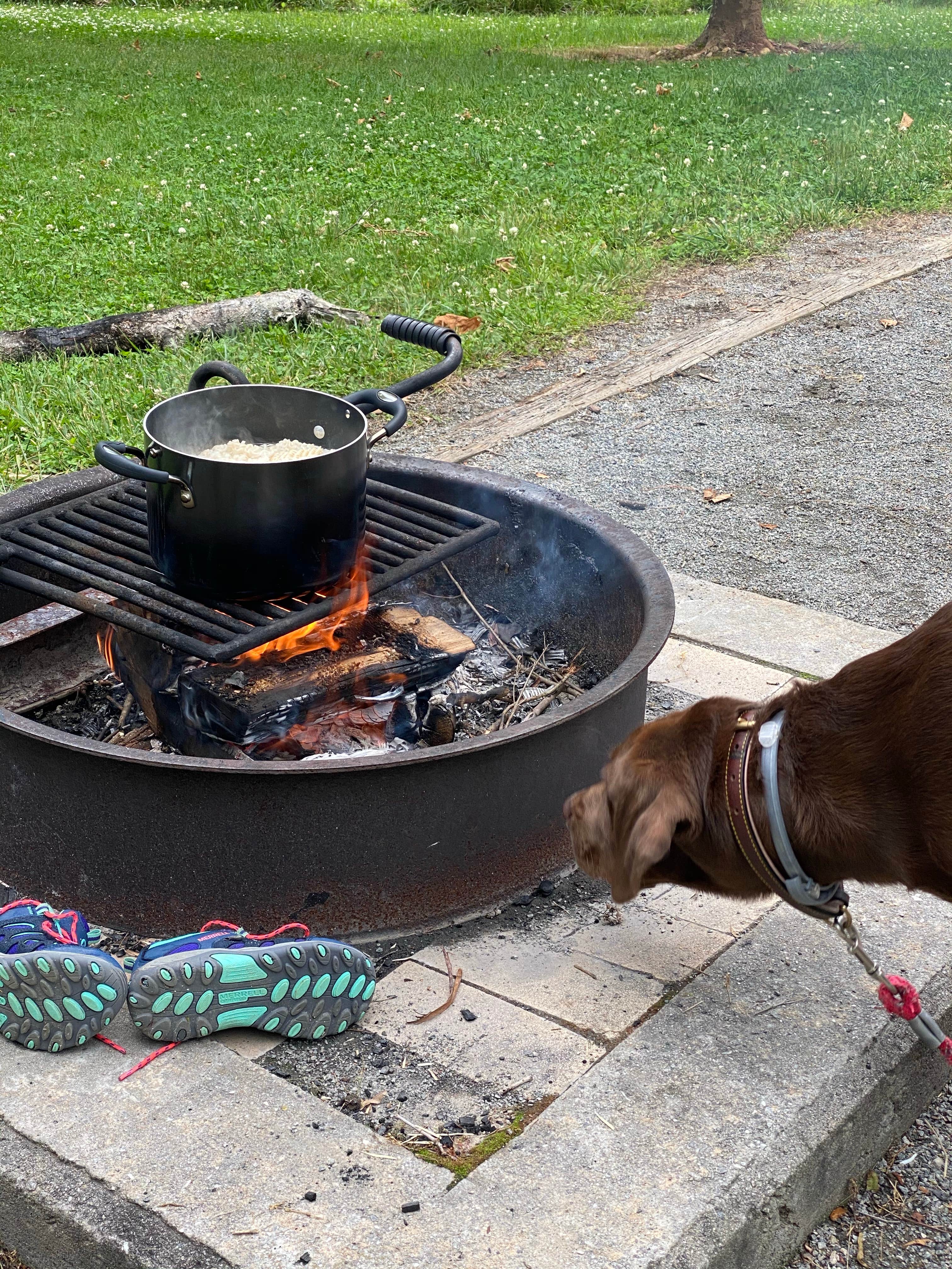 Rachael H.'s photo of camping with pets at Stone Mountain State Park Campground near Cana, VA