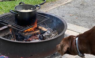 Rachael H.'s photo of camping with pets at Stone Mountain State Park Campground near Blue Ridge Parkway