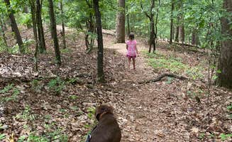 Rachael H.'s photo of camping with pets at Gulpha Gorge Campground — Hot Springs National Park near Hot Springs National Park, AR