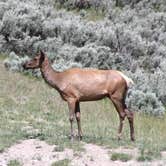 Review photo of Yellowstone Edge RV Park by Joel R., July 20, 2019