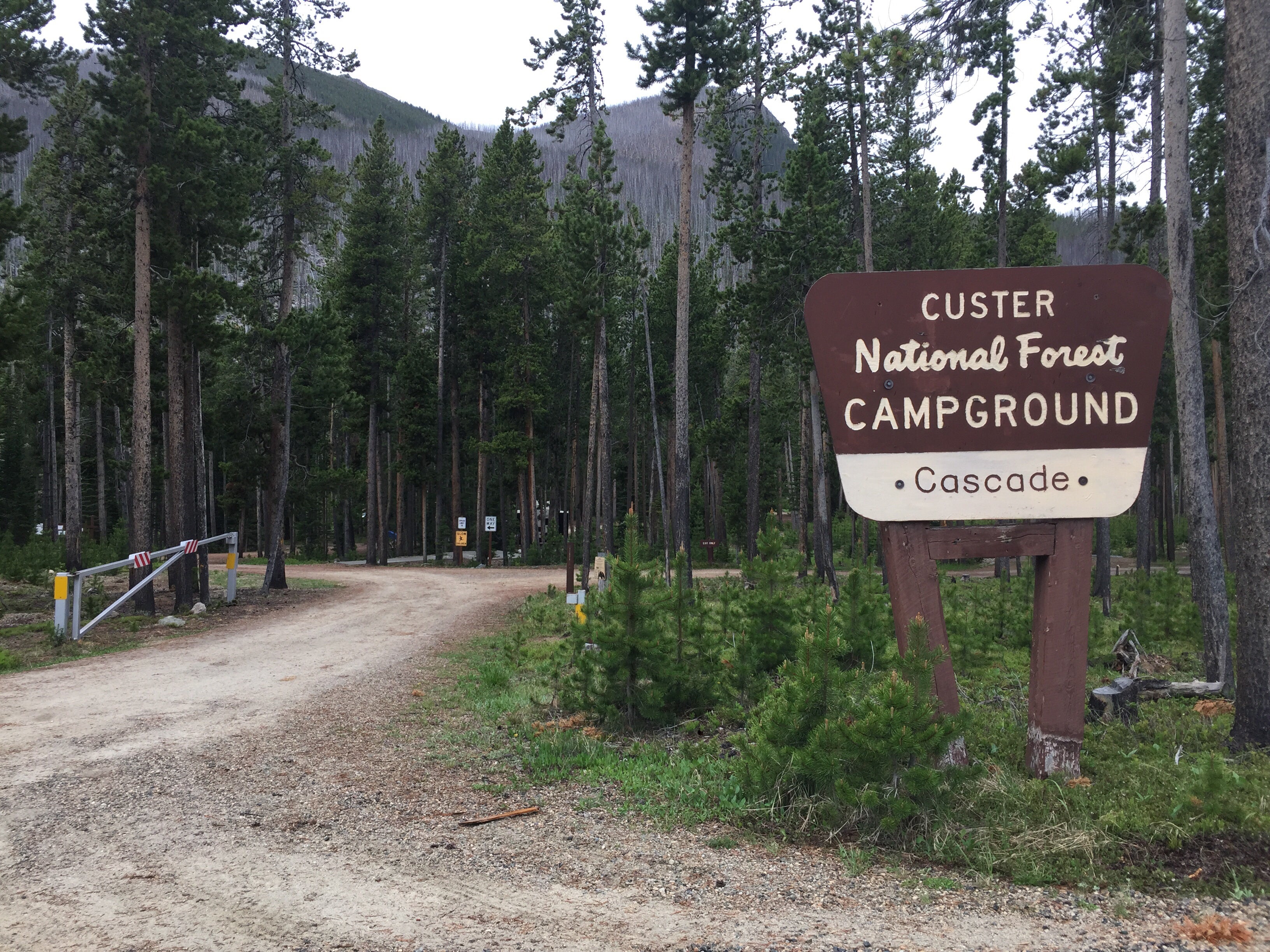 Camper submitted image from Cascade Campground-Custer National Forest - 3