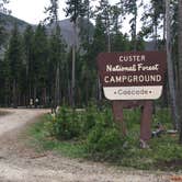 Review photo of Cascade Campground-Custer National Forest by Bjorn S., June 11, 2020