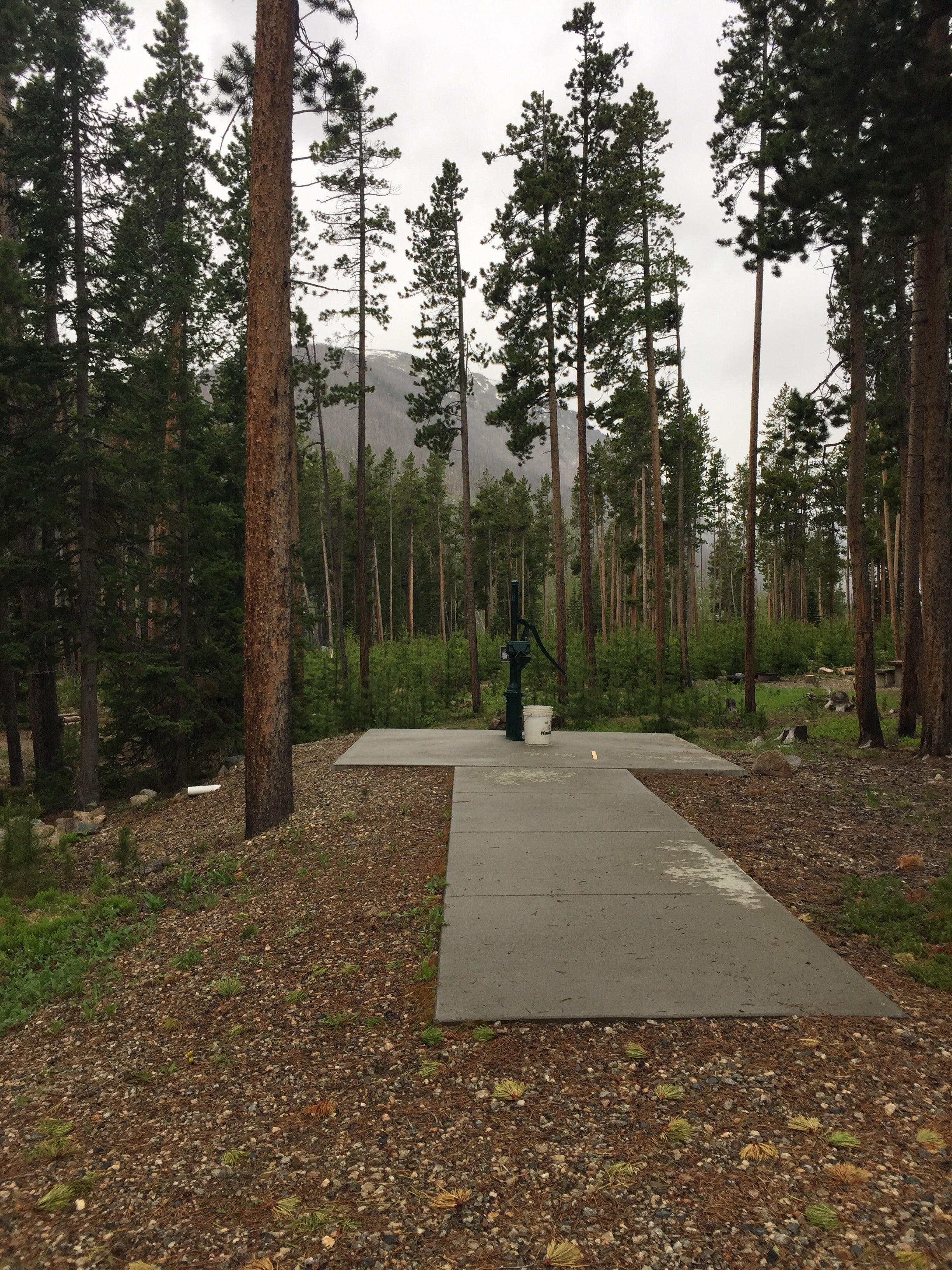 Camper submitted image from Cascade Campground-Custer National Forest - 2