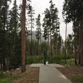 Review photo of Cascade Campground-Custer National Forest by Bjorn S., June 11, 2020