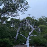 Review photo of Henderson Beach State Park Campground by Gina W., June 11, 2020