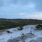 Review photo of Henderson Beach State Park Campground by Gina W., June 11, 2020