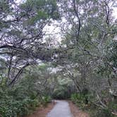 Review photo of Henderson Beach State Park Campground by Gina W., June 11, 2020