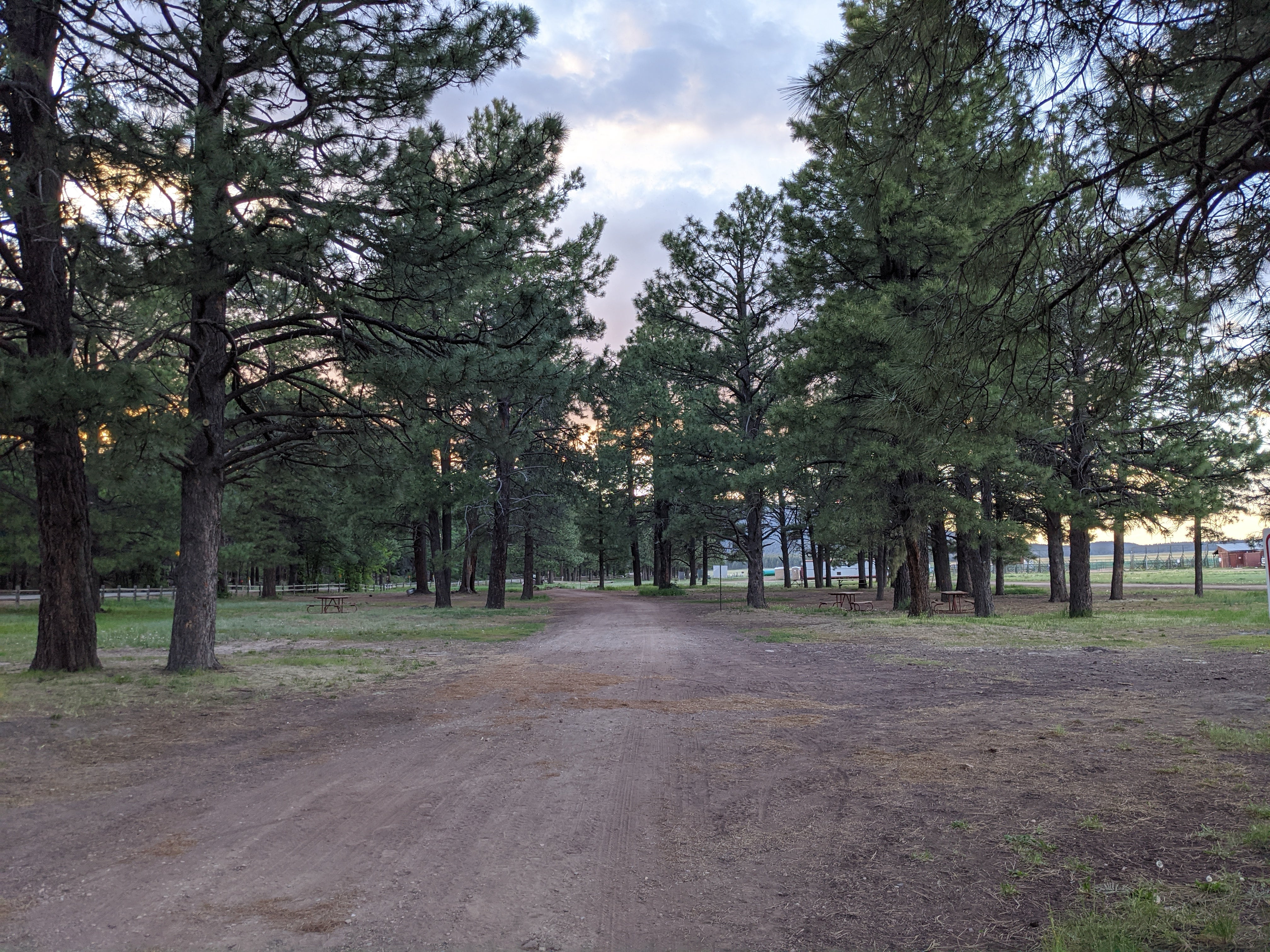 Camper submitted image from Mormon Lake Lodge RV Park & Campground - 3