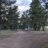 Review photo of Mormon Lake Lodge RV Park & Campground by Derek C., June 11, 2020