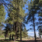 Review photo of Mormon Lake Lodge RV Park & Campground by Derek C., June 11, 2020