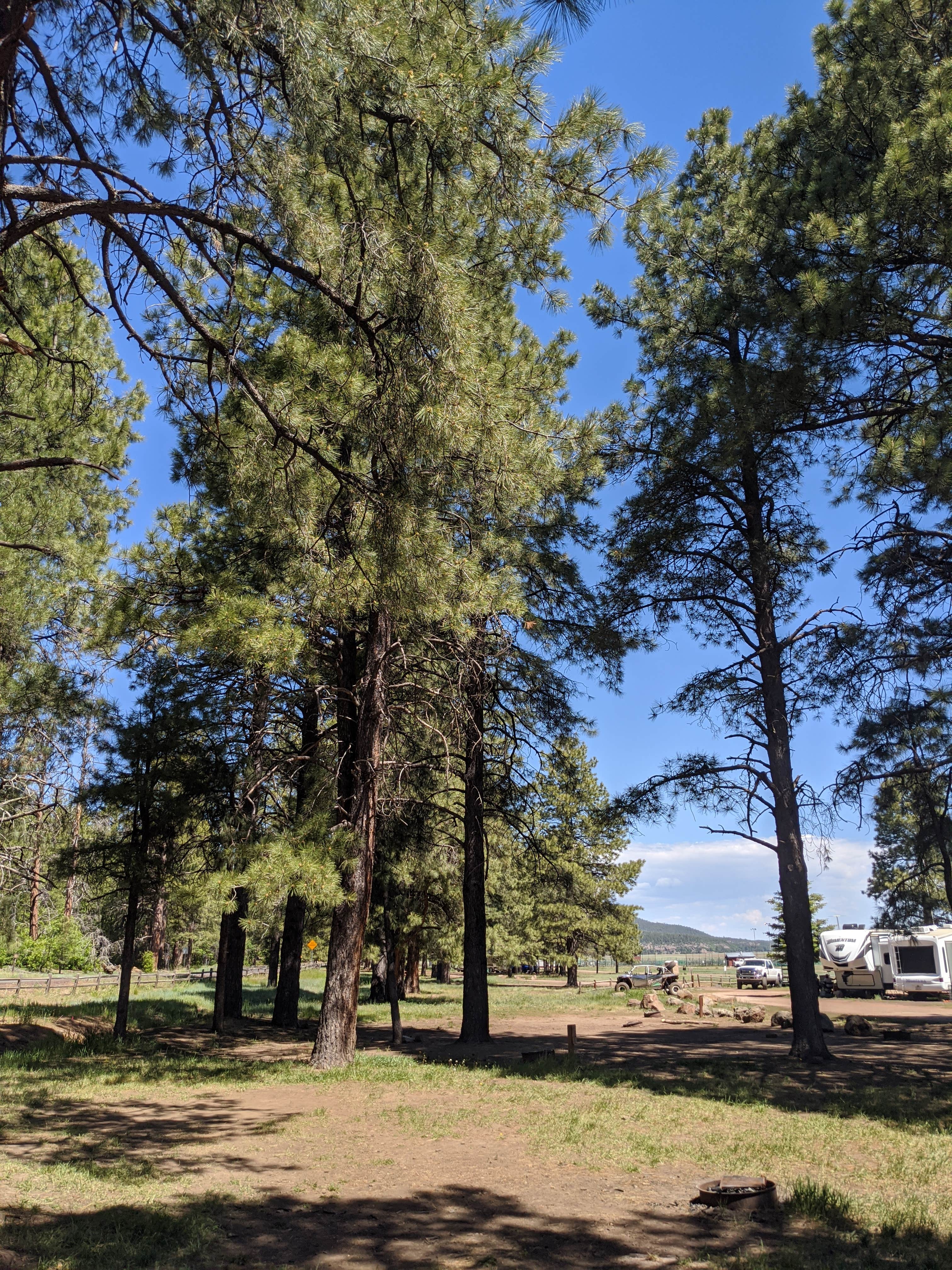 Camper submitted image from Mormon Lake Lodge RV Park & Campground - 3