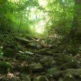 Review photo of Giant City State Park Campground by Sherry W., June 11, 2020