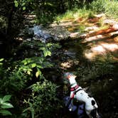 Review photo of Giant City State Park Campground by Sherry W., June 11, 2020