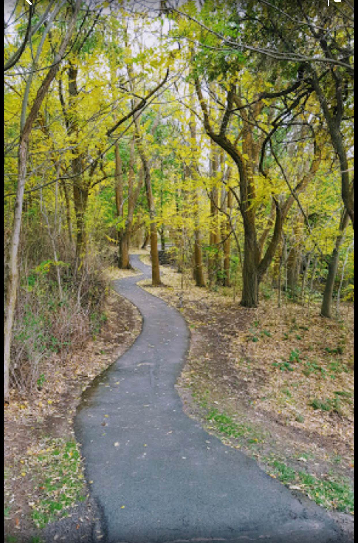 Camper submitted image from Wawawai County Park - 4