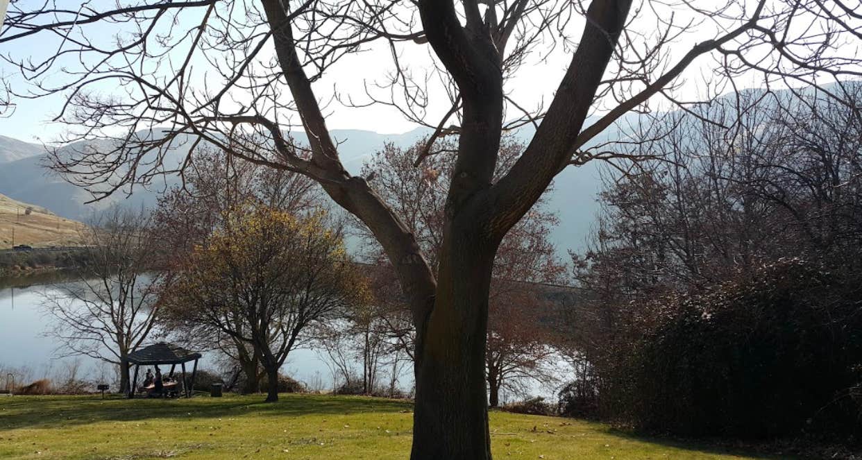 Camper-submitted photo at Wawawai County Park near Moscow, ID