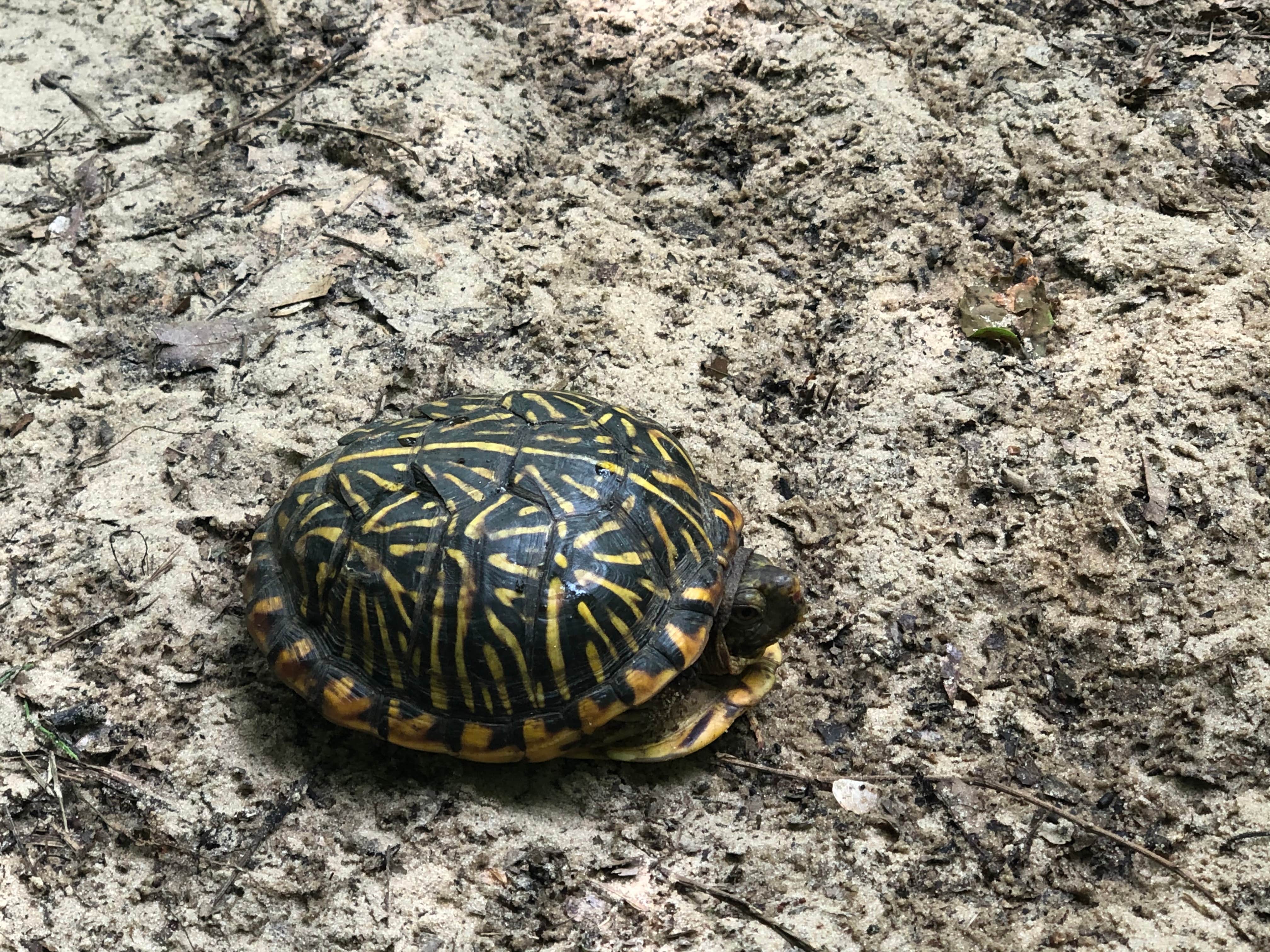 Camper-submitted photo at Wisconsin Riverside Resort near Fennimore, WI