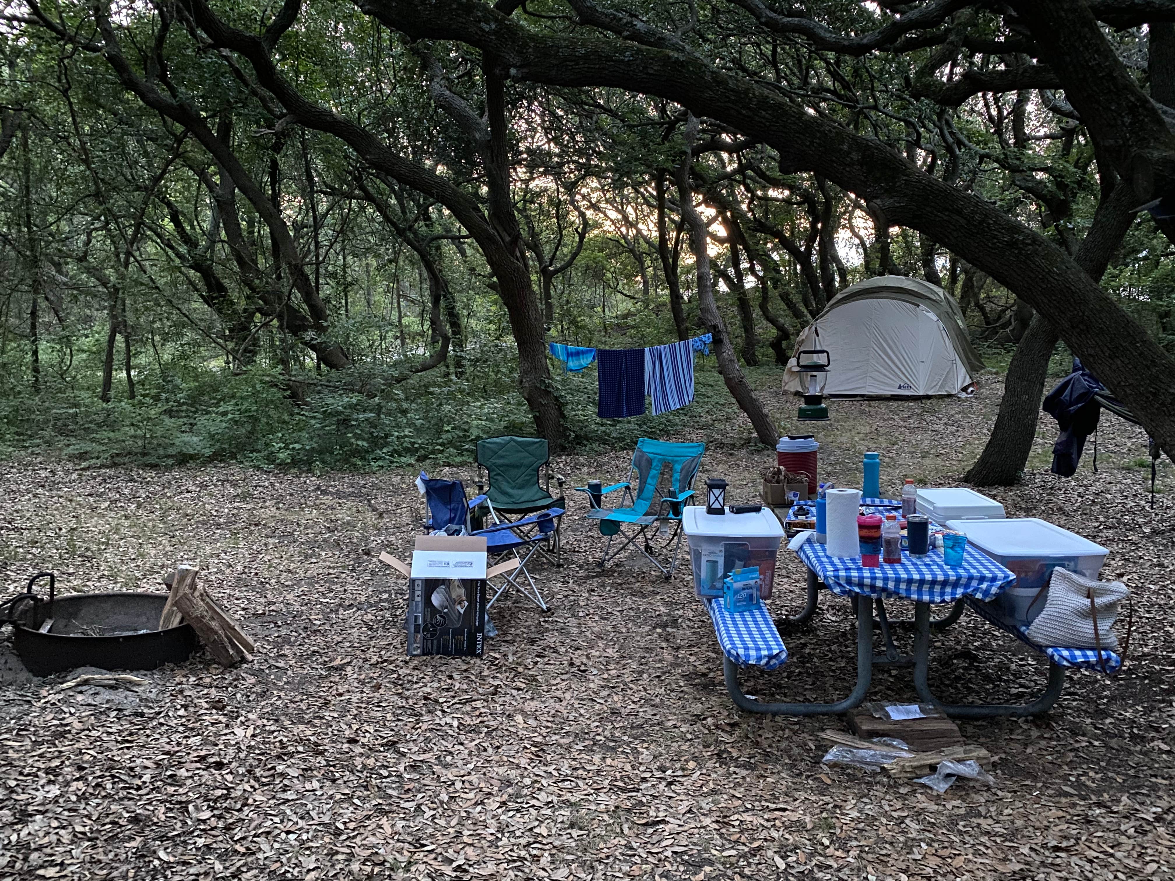 Amy R.'s photo at First Landing State Park Campground near Virginia Beach, VA