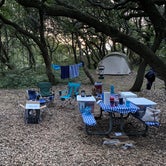 Review photo of First Landing State Park Campground by Amy R., June 11, 2020