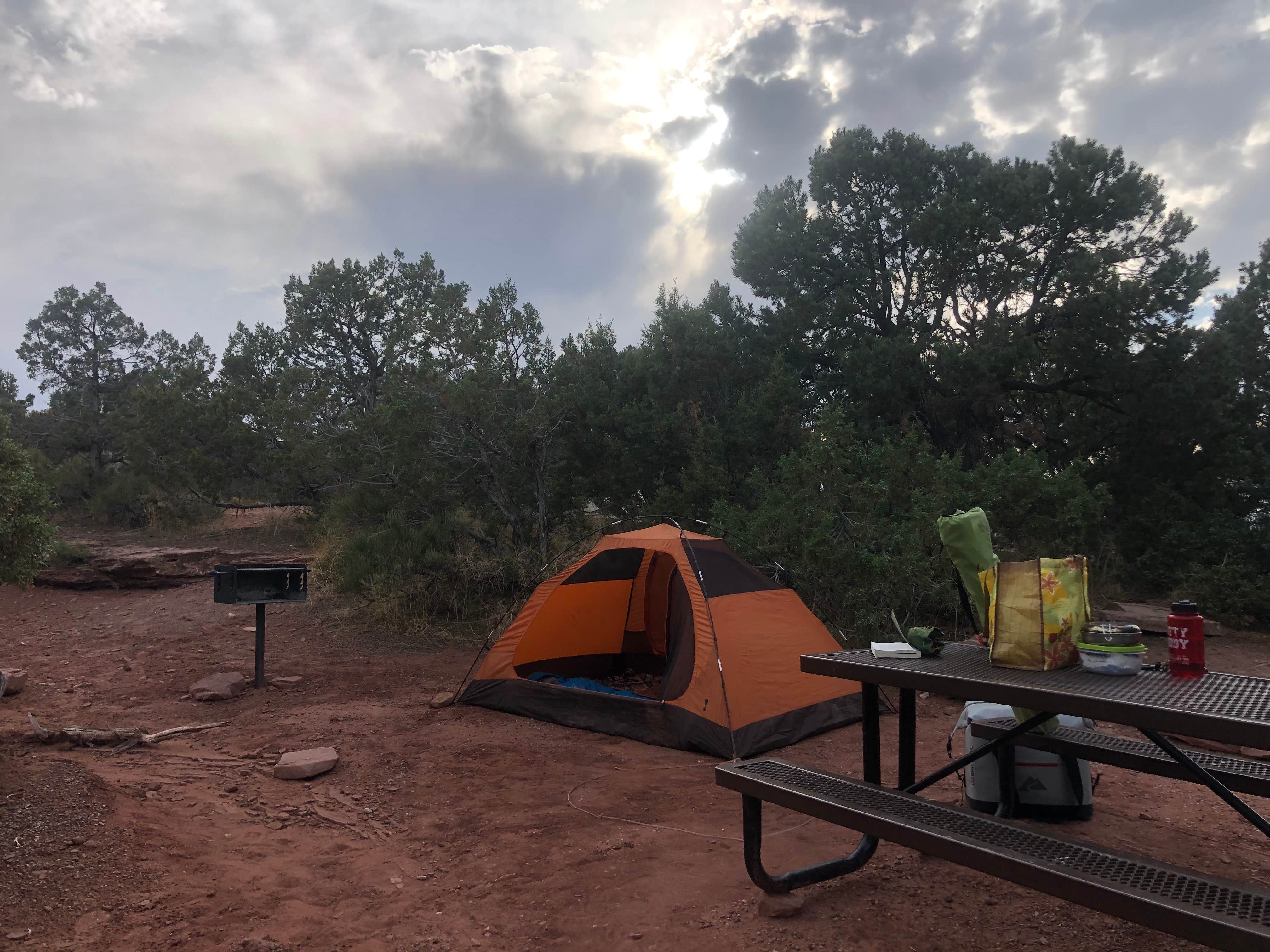 Taylor C.'s photo at Saddlehorn Campground — Colorado National Monument near Colorado National Monument